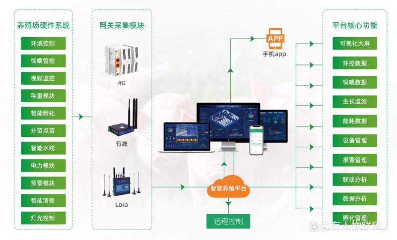 行业动态：数字化解决方案，企业转型升级的风向标